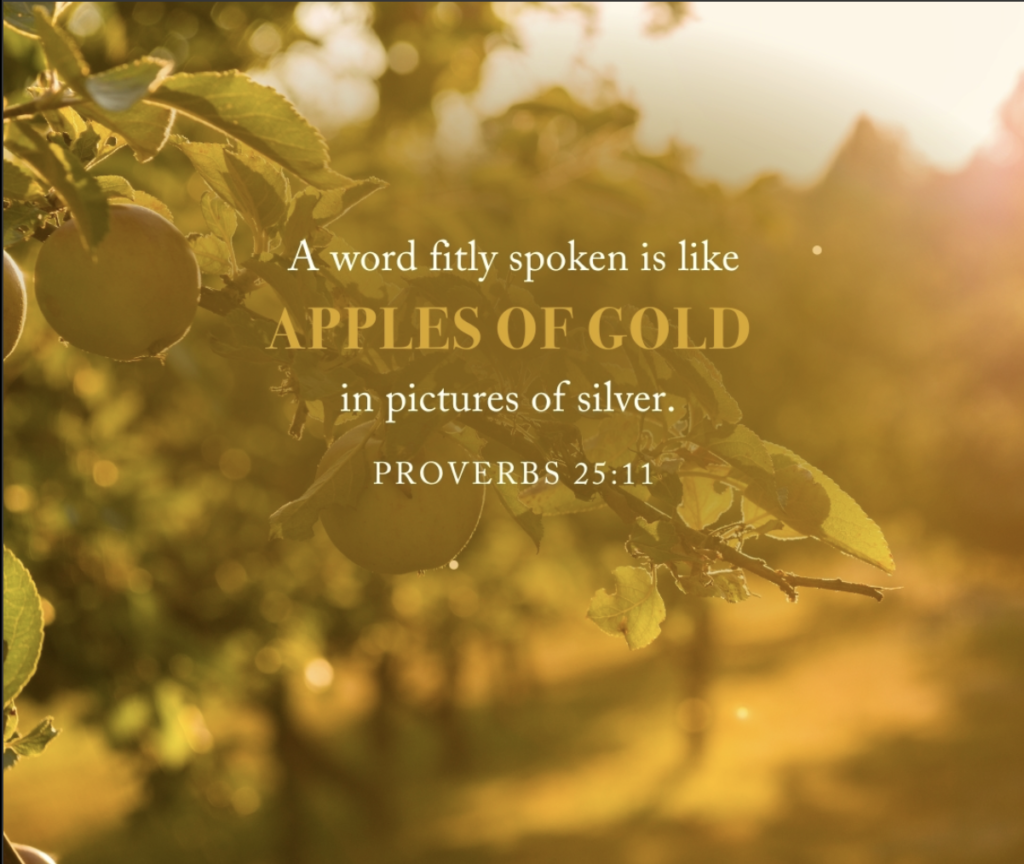 Day 25 – The Power of a Timely Word